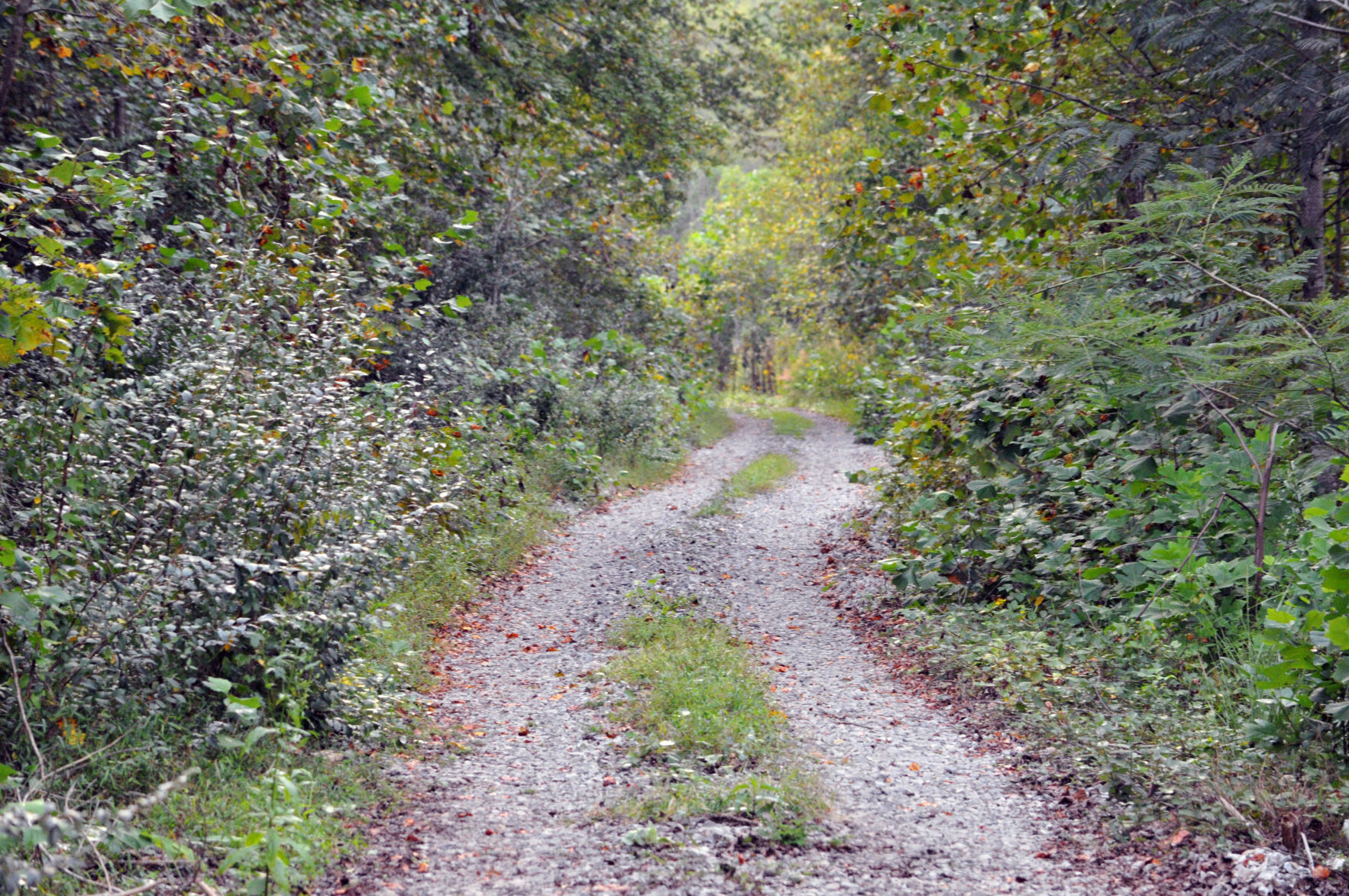 Rail Trail